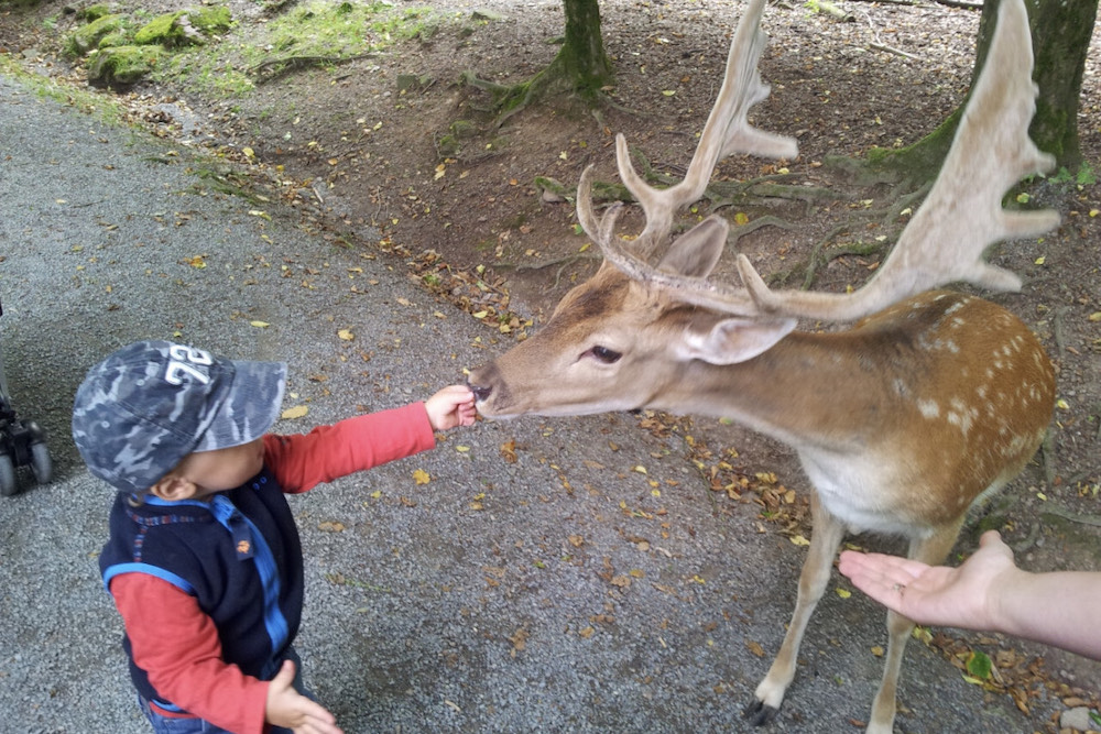 Wildpark Klaushof